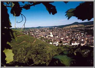 Hotel Rhein Inn Remagen Extérieur photo